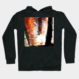 Digital Abstract N10. Hoodie